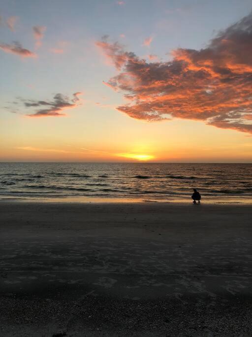 Amazing Water Front View Home Newly Renovated 3Bd 2Bth Clearwater Beach Eksteriør bilde